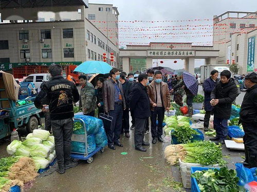 春節(jié)期間食用農(nóng)產(chǎn)品質(zhì)量安全專項執(zhí)法行動全面展開，筑牢群眾“菜籃子”安全防線